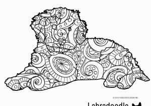 Pillow Pet Coloring Page Coloring Book