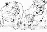 Pillow Pet Coloring Page Printable Dog Coloring Pages Ideas for Kids