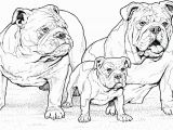 Pillow Pet Coloring Page Printable Dog Coloring Pages Ideas for Kids