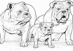 Pillow Pet Coloring Page Printable Dog Coloring Pages Ideas for Kids