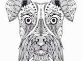 Pillow Pet Coloring Page Znalezione Obrazy Dla Zapytania Koala Art