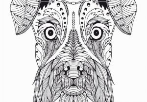 Pillow Pet Coloring Page Znalezione Obrazy Dla Zapytania Koala Art