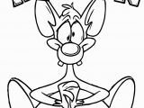 Pinky and the Brain Coloring Pages Cool Animaniacs Volume Pinky the Brain Coloring Page
