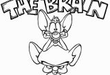 Pinky and the Brain Coloring Pages Fun Pinky and the Brain Coloring Page for Kids