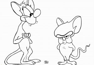 Pinky and the Brain Coloring Pages Pinky and the Brain by Tibstudios On Deviantart