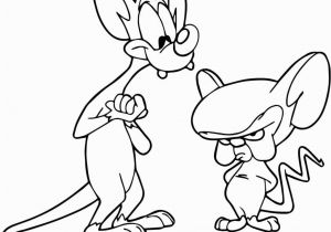 Pinky and the Brain Coloring Pages Pinky and the Brain Colouring Page