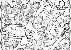 Pinterest Coloring Pages for Adults Turtle Doodle Adult Coloring Book Pagesmore Pins Like This