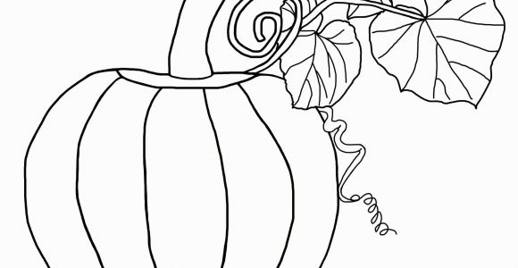 Plain Pumpkin Coloring Pages Free Pumpkin Coloring Pages for Kids