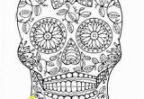 Plain Skull Coloring Pages 252 Best Skulls Images