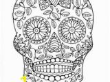 Plain Skull Coloring Pages 252 Best Skulls Images