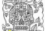 Plain Skull Coloring Pages 252 Best Skulls Images