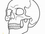 Plain Skull Coloring Pages Free Skulls Download Free Clip Art Free Clip Art