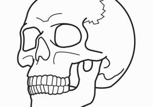 Plain Skull Coloring Pages Free Skulls Download Free Clip Art Free Clip Art