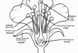 Plant Coloring Pages Science Learn About Plants with Flower Dissection
