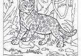 Platypus Coloring Pages to Print Duckbill Platypus Coloring Page 19 Luxury Platypus Coloring Page