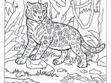 Platypus Coloring Pages to Print Duckbill Platypus Coloring Page 19 Luxury Platypus Coloring Page