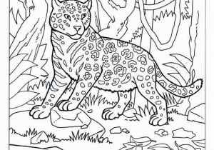 Platypus Coloring Pages to Print Duckbill Platypus Coloring Page 19 Luxury Platypus Coloring Page