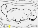 Platypus Coloring Pages to Print Pin Od Renia Na Przedszkole W 2018 Pinterest