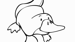 Platypus Coloring Pages to Print Platypus Coloring Pages Coloring Pages Pinterest
