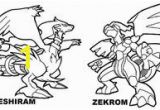 Pokemon Zekrom Coloring Pages 101 Best Pokemon Coloring Sheets Images