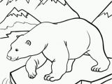 Polar Bear Coloring Pages Free Printables 20 Free Printable Polar Bear Coloring Pages