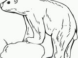 Polar Bear Coloring Pages Free Printables Free Printable Polar Bear Coloring Pages for Kids