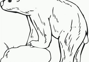 Polar Bear Coloring Pages Free Printables Free Printable Polar Bear Coloring Pages for Kids