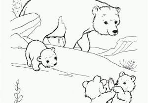 Polar Bear Coloring Pages Free Printables Get This Free Polar Bear Coloring Pages for Kids Yy6l0