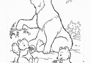 Polar Bear Coloring Pages Free Printables top 10 Free Printable Polar Bear Coloring Pages Line