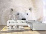 Polar Bear Wall Mural Polar Bear Laying Down Wall Mural