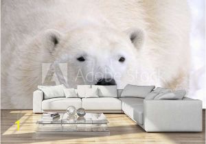 Polar Bear Wall Mural Polar Bear Laying Down Wall Mural