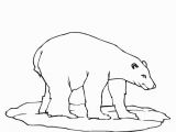 Polar Express Coloring Page Polar Bear Coloring Page Coloring Pages Polar Bears Amazing Baby