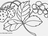 Polar Express Coloring Page Polar Express Malvorlagen Kostenlos Coloring Page Ecoloringfo