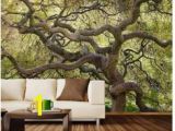 Prepasted Wall Murals 24 Best Room W A View Images