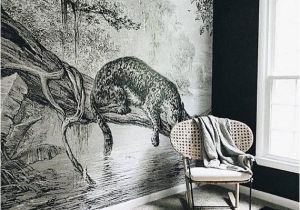 Prepasted Wall Murals Jaguar Mural Jungle Wallpaper In 2018