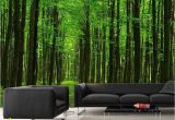 Prepasted Wall Murals Walk In the forest