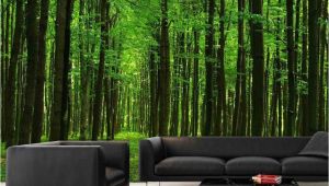 Prepasted Wall Murals Walk In the forest