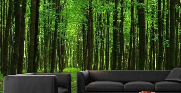 Prepasted Wall Murals Walk In the forest