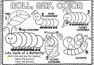 Preschool Caterpillar Coloring Pages Printable Life Cycle butterfly Coloring