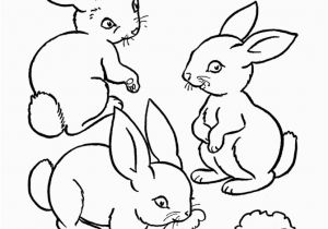 Preschool Farm Animal Coloring Pages Farm Animal Coloring Page Rabbits Eating Carrots