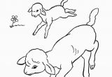 Preschool Farm Animal Coloring Pages Farm Animal Coloring Page Running Lambs