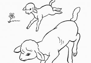 Preschool Farm Animal Coloring Pages Farm Animal Coloring Page Running Lambs