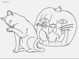 Preschool Pumpkin Coloring Pages Print Coloring Pages Kitten at Coloring Pages