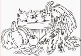 Preschool Pumpkin Coloring Pages top 59 Superlative Free Printable Summer Coloring Pages