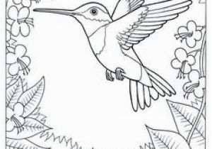Pretty Bird Coloring Pages 108 Best Humming Birds Art & Coloring Images On Pinterest