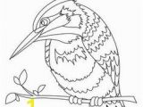 Pretty Bird Coloring Pages 64 Realistic and Detailed Kingfisher Bird Coloring Pages for Adults