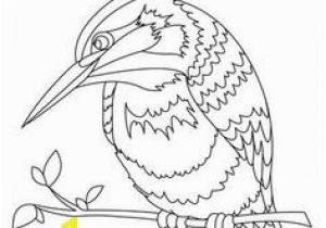 Pretty Bird Coloring Pages 64 Realistic and Detailed Kingfisher Bird Coloring Pages for Adults