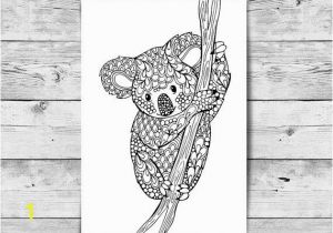 Prince Fluff Coloring Pages Adult Coloring Page Koala Printable Colouring Page