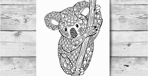 Prince Fluff Coloring Pages Adult Coloring Page Koala Printable Colouring Page