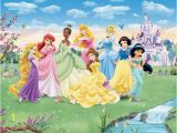 Princess sofia Wall Mural Princess Room with Disney Princess Wall Mural Wallpaper Mural